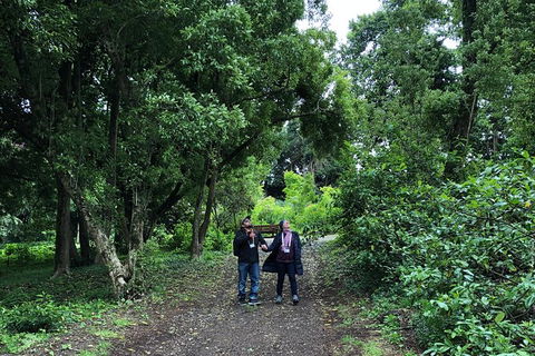 Alices Journeys Guided Walking Tours Of Daylesford - Attractions 5