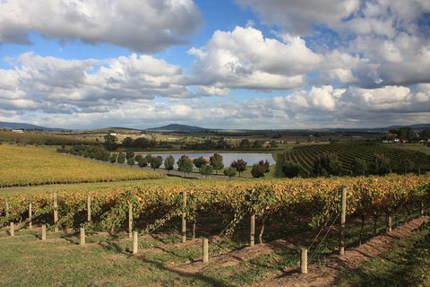 LGBT+ Friendly Full Day Yarra Valley & Dandenong Ranges Private Tour - Attractions 0