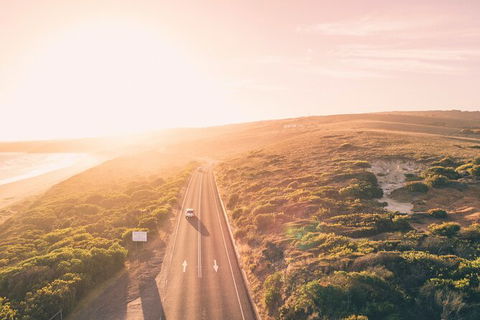 LGBT+ Friendly 2 Day Private Great Ocean Road Tour - Attractions Las Vegas 1