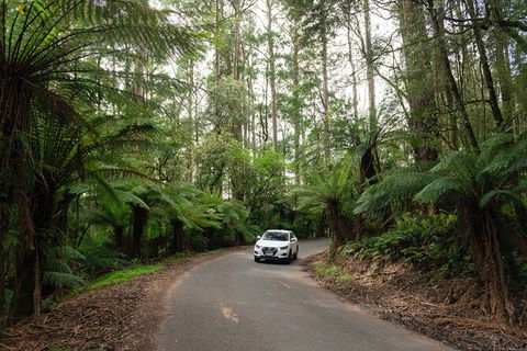 LGBT+ Friendly 3 Day Tour The Grampians, Daylesford & Ballarat - Attractions 1