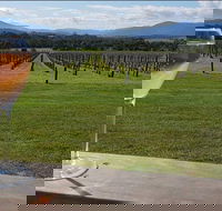 Yarra Valley 7 Hours Guided Wine Tour with 2-Course Lunch - Attractions