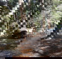 Explore Blue Mountains 4WD Adventure 1 Day Tour with Local Guide - Attractions