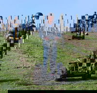 1H Yarra Valley Discover Vineyard Experience Segway Tour - Attractions
