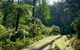 Aqueduct And Rail Trail Self-Guided Bike Tour In Warburton - thumb 3