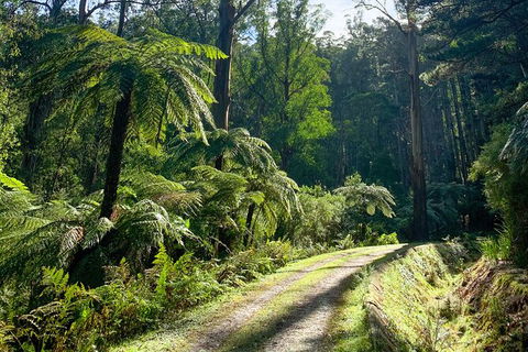 Aqueduct And Rail Trail Self-Guided Bike Tour In Warburton - Attractions 3