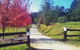 Aqueduct And Rail Trail Self-Guided Bike Tour In Warburton - thumb 4