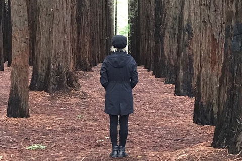 Private Aqueduct To California Redwoods Hiking Tour - Attractions Las Vegas 1