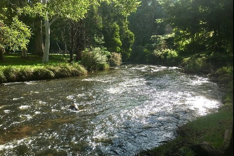 Watertube Experience In Yarra River - Attractions Las Vegas 3