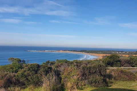 Private Great Ocean Road And Chocolaterie Tour With Tasting - Attractions 5