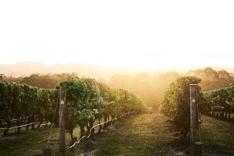 Mornington Peninsula 2-6 Guests Lunch Rare Hare Or Merricks General Wine Store - Attractions 2