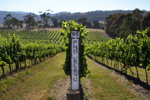 Mornington Peninsula 2-6 Guests Lunch Rare Hare Or Merricks General Wine Store - Attractions 5