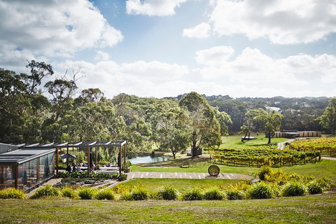 Mornington Peninsula 2-6 Guests Lunch, Wine And Pt Leo Estate Art Walk - Attractions 2