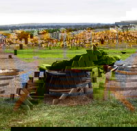 Mornington Peninsula Premium Tour with Wine Tasting at Yabby Lake - Attractions