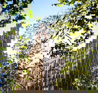 PRIVATE Central Melbourne Walking Tour - Attractions