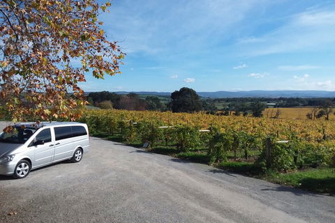 Private Yarra Valley 2 Nights, 2 Days, Social Getaway For Up To 6 People - Attractions 2