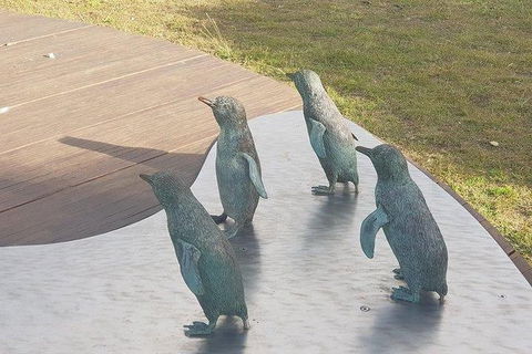 Phillip Island Penguin And Wildlife Tour - Attractions 14