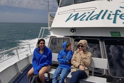 Phillip Island Penguin And Wildlife Tour - Attractions 15