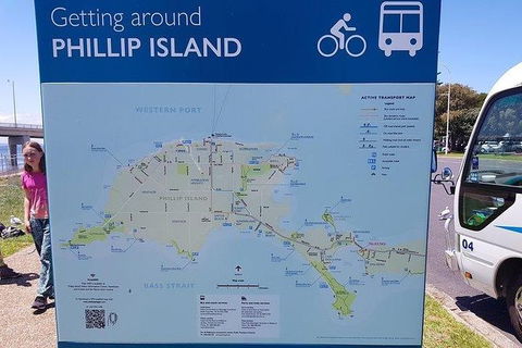 Phillip Island Penguin And Wildlife Tour - Attractions 28