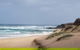 Phillip Island Penguin And Wildlife Tour - thumb 10