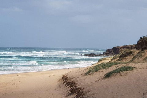 Phillip Island Penguin And Wildlife Tour - Attractions 10