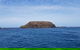 Phillip Island Penguin And Wildlife Tour - thumb 17