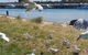 Phillip Island Penguin And Wildlife Tour - thumb 1