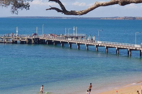 Phillip Island Penguin And Wildlife Tour - Attractions 2