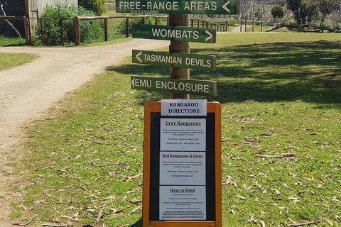 Phillip Island Penguin And Wildlife Tour - Attractions 4