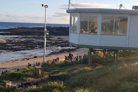 Phillip Island Penguin And Wildlife Tour - Attractions 33