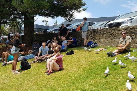Phillip Island Penguin And Wildlife Tour - Attractions 22