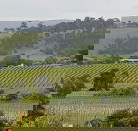 Yarra Valley Wine Tasting Day Tour from Melbourne - Attractions