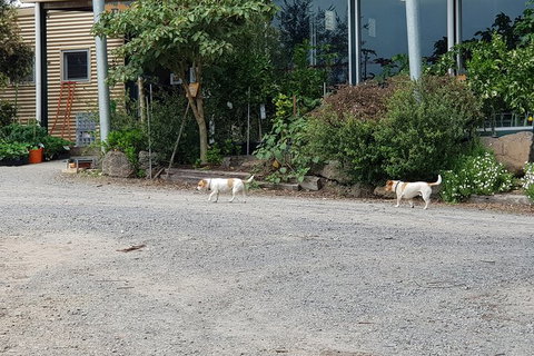 Yarra Valley Wineries And Rayners Orchard Tour From Melbourne - Attractions 23