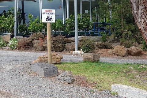 Yarra Valley Wineries And Rayners Orchard Tour From Melbourne - Attractions 1