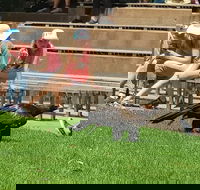 Healesville Sanctuary and Rayners Orchard Tour from Melbourne - Attractions