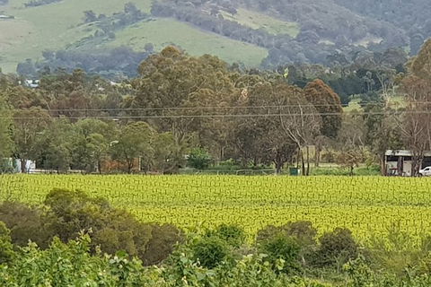 Day Tour Of Yarra Valley Puffing Billy And Rayners Orchard - Attractions 44