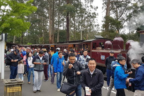 Day Tour Of Yarra Valley Puffing Billy And Rayners Orchard - Attractions 3