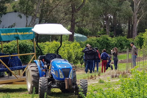 Day Tour Of Yarra Valley Puffing Billy And Rayners Orchard - Attractions 10