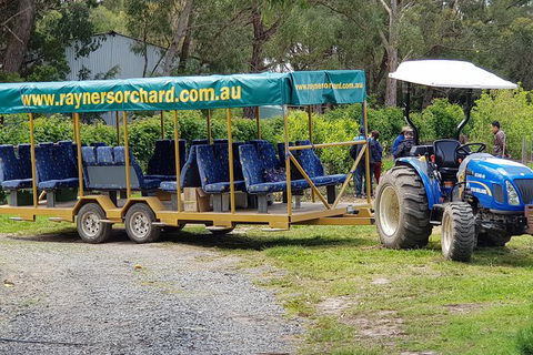 Day Tour Of Yarra Valley Puffing Billy And Rayners Orchard - Attractions 48
