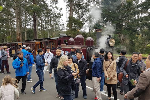 Day Tour Of Yarra Valley Puffing Billy And Rayners Orchard - Attractions 18