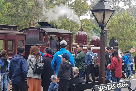 Day Tour Of Yarra Valley Puffing Billy And Rayners Orchard - Attractions 40