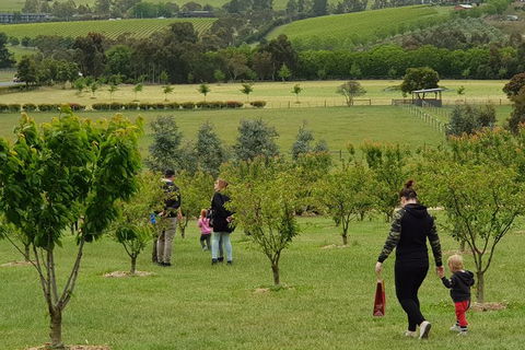 Day Tour Of Yarra Valley Puffing Billy And Rayners Orchard - Attractions 36