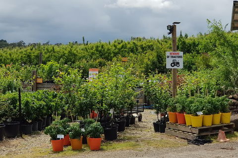 Day Tour Of Yarra Valley Puffing Billy And Rayners Orchard - Attractions 46