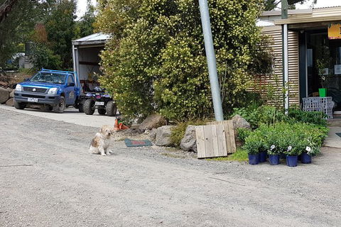 Day Tour Of Yarra Valley Puffing Billy And Rayners Orchard - Attractions 6