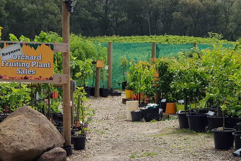 Day Tour Of Yarra Valley Puffing Billy And Rayners Orchard - Attractions 22