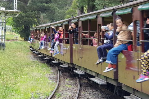 Day Tour Of Yarra Valley Puffing Billy And Rayners Orchard - Attractions 13