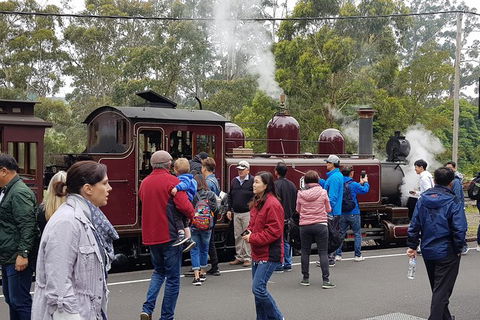 Day Tour Of Yarra Valley Puffing Billy And Rayners Orchard - Attractions 4