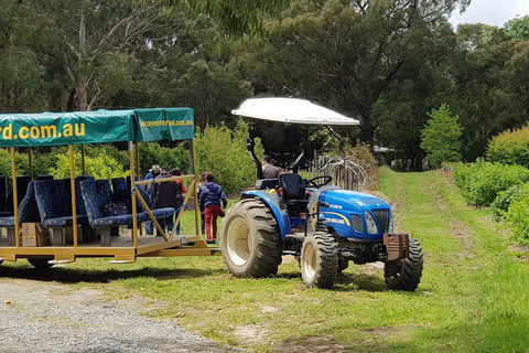 Day Tour Of Yarra Valley Puffing Billy And Rayners Orchard - Attractions 25