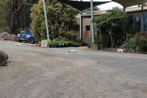 Day Tour Of Yarra Valley Puffing Billy And Rayners Orchard - Attractions 26