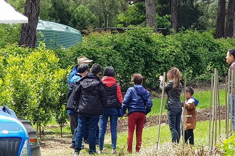 Day Tour Of Yarra Valley Puffing Billy And Rayners Orchard - Attractions 16