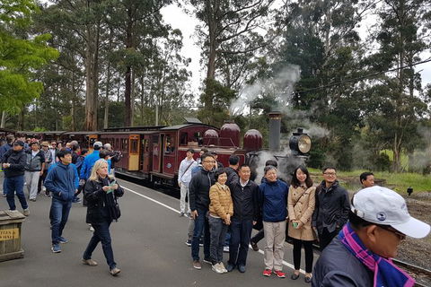 Day Tour Of Yarra Valley Puffing Billy And Rayners Orchard - Attractions 9